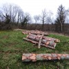 Notre scierie